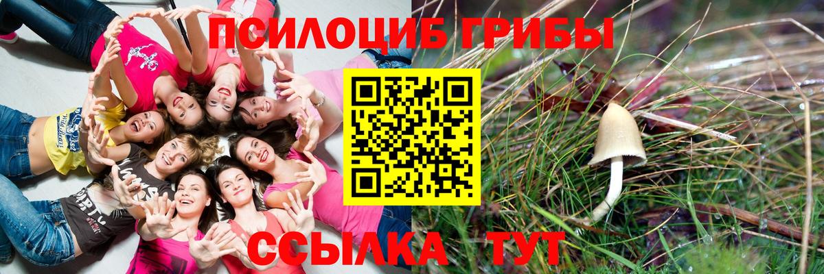 Ржев  Галлюциногенные грибы Magic Shrooms  Вход с VPN 